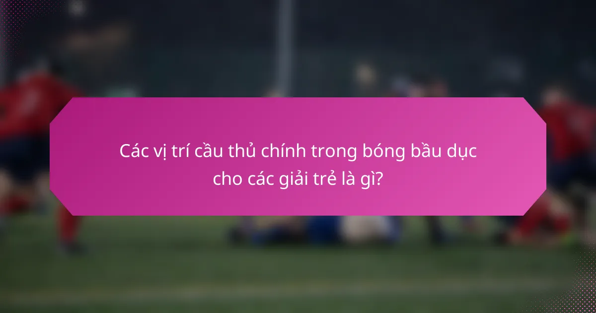 Các vị trí cầu thủ chính trong bóng bầu dục cho các giải trẻ là gì?