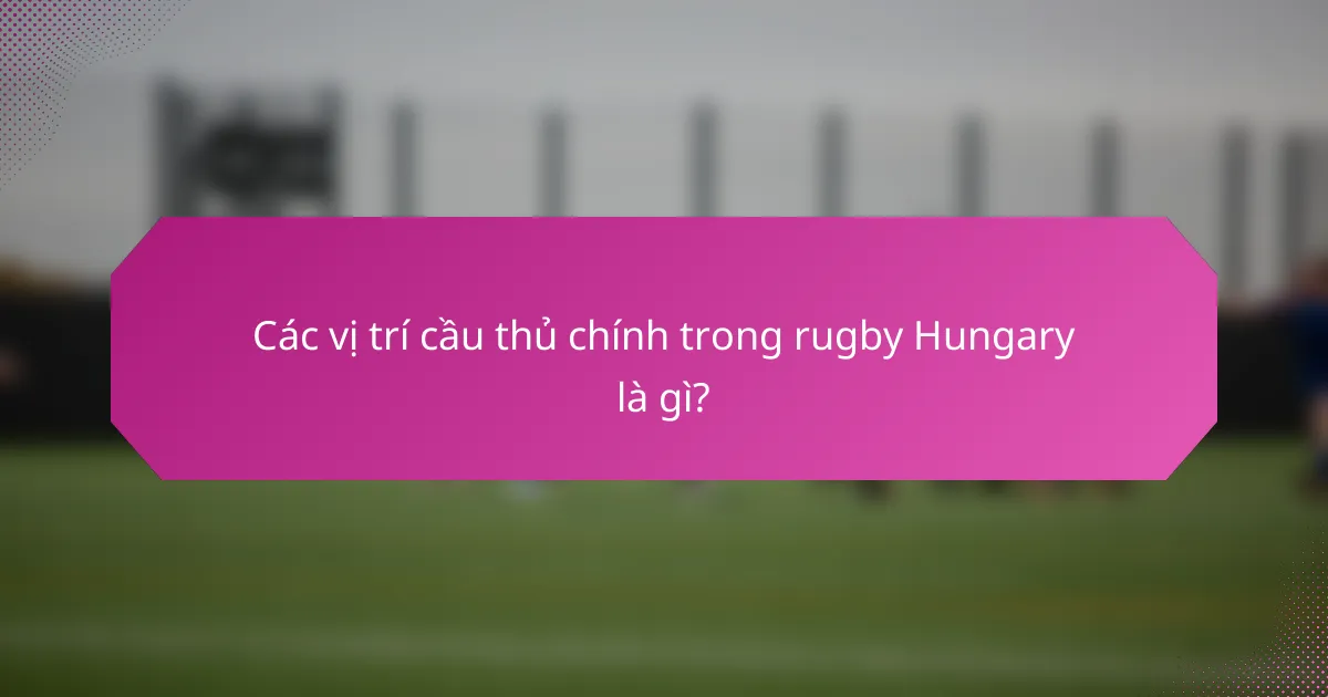 Các vị trí cầu thủ chính trong rugby Hungary là gì?