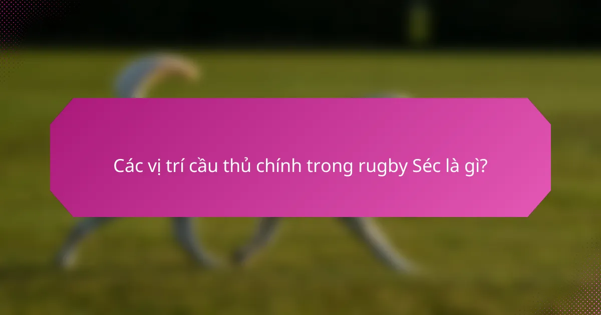 Các vị trí cầu thủ chính trong rugby Séc là gì?
